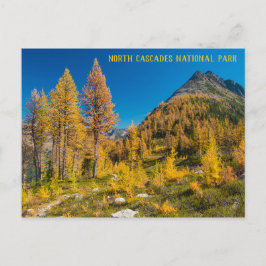 Autumn Larches bij Easy Pass Washington Briefkaart