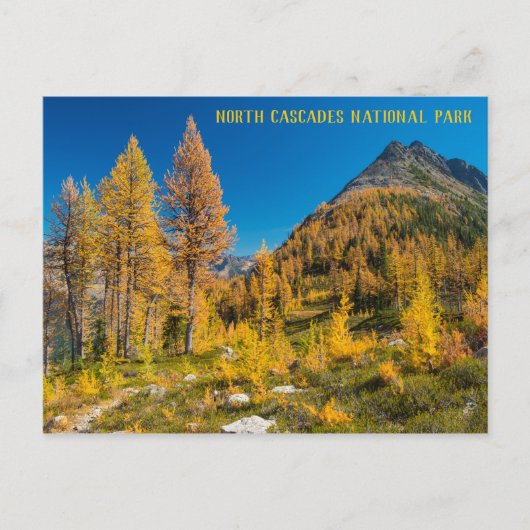 Autumn Larches bij Easy Pass Washington Briefkaart (Voorkant)