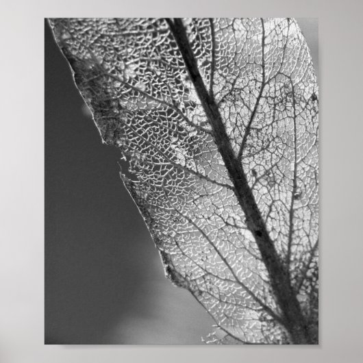 Autumn Leaf - B&W Poster (Voorkant)