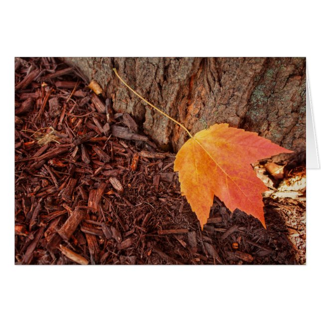 Autumn Leaf Blank Card (Voorkant Horizontaal)
