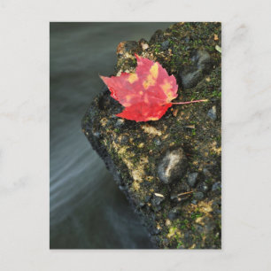 Autumn Leaf Briefkaart