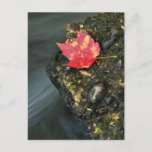Autumn Leaf Briefkaart (Voorkant)