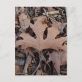 Autumn Leaf Briefkaart (Voorkant)