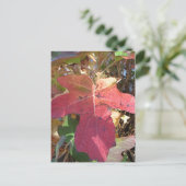 Autumn Leaf Briefkaart (Staand voorkant)