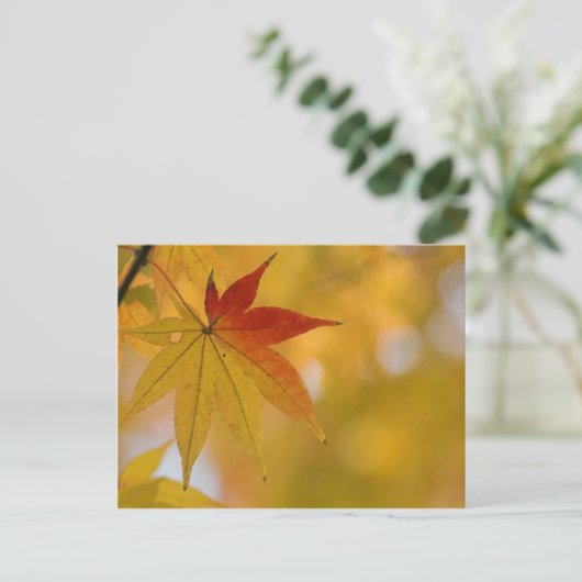 Autumn Leaf Briefkaart (Staand voorkant)