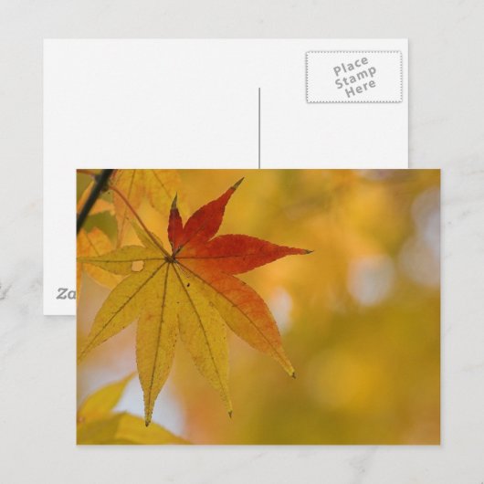 Autumn Leaf Briefkaart (Voorkant / Achterkant)