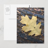 Autumn leaf briefkaart (Voorkant / Achterkant)