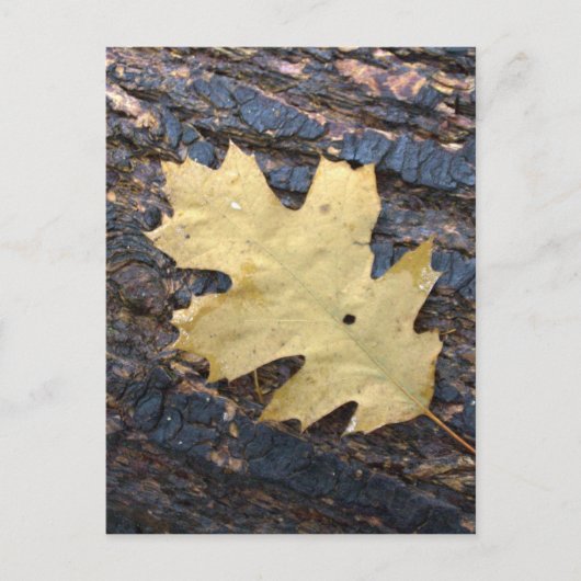 Autumn leaf briefkaart (Voorkant)