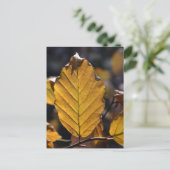 Autumn Leaf Briefkaart (Staand voorkant)