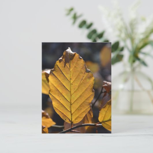 Autumn Leaf Briefkaart (Staand voorkant)