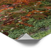 Autumn Leaf Color Photographic Poster (Hoek)