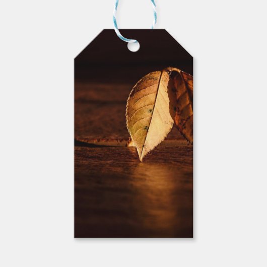 Autumn Leaf Dawn Abstract Cadeaulabel (Voorkant)