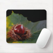 Autumn Leaf en Nut Muismat (Met muis)