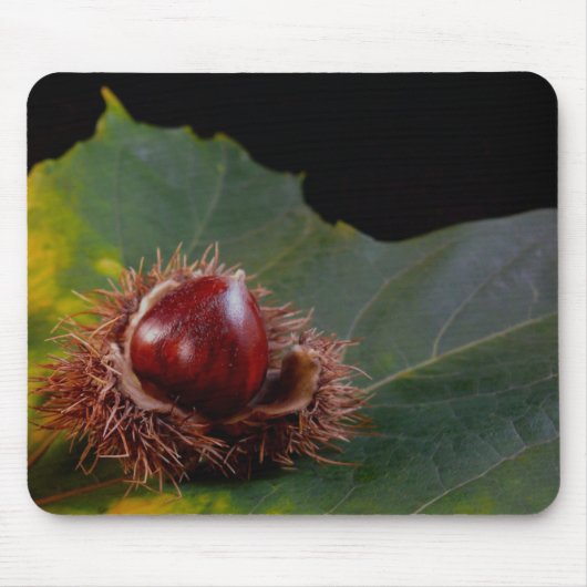 Autumn Leaf en Nut Muismat (Voorkant)