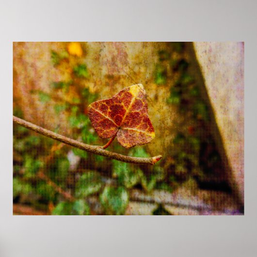 Autumn Leaf Fine Art - Geïnspireerd cadeau Poster (Voorkant)