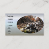 Autumn Leaf Foliage and Waterfall Visitekaartje (Voorkant)