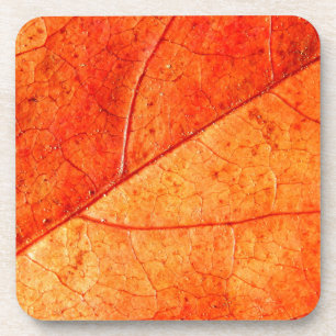 Autumn Leaf Hard Plastic Onderzetters