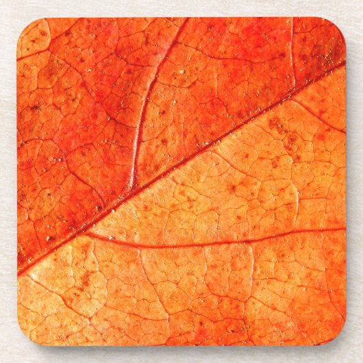 Autumn Leaf Hard Plastic Onderzetters (Voorkant)