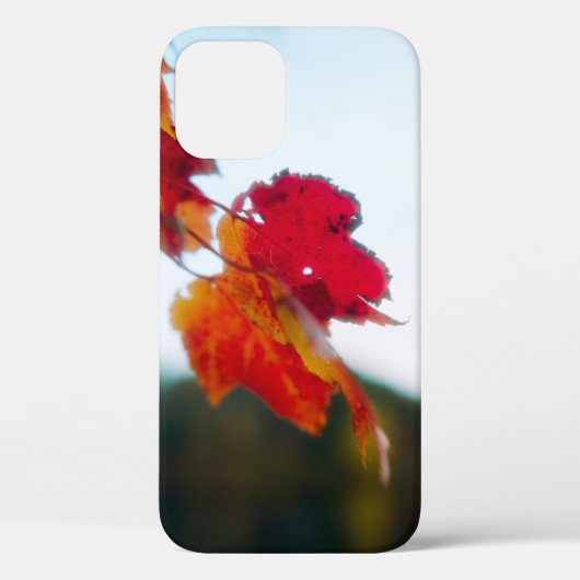 Autumn Leaf iPhone Case (Achterkant)