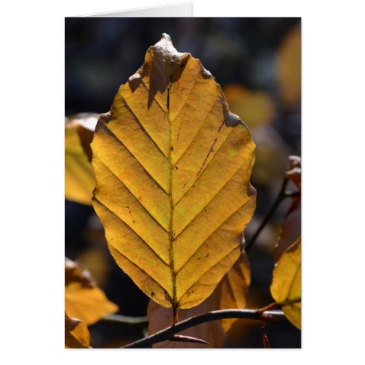 Autumn Leaf Kaart (Voorkant)