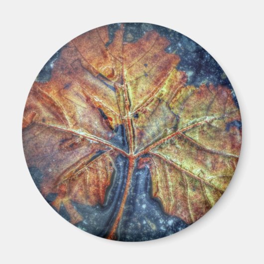Autumn Leaf Magnet (Voorkant)