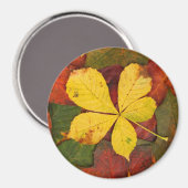 Autumn Leaf Magnet (Voorkant / Achterkant)
