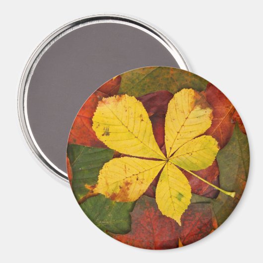 Autumn Leaf Magnet (Voorkant / Achterkant)