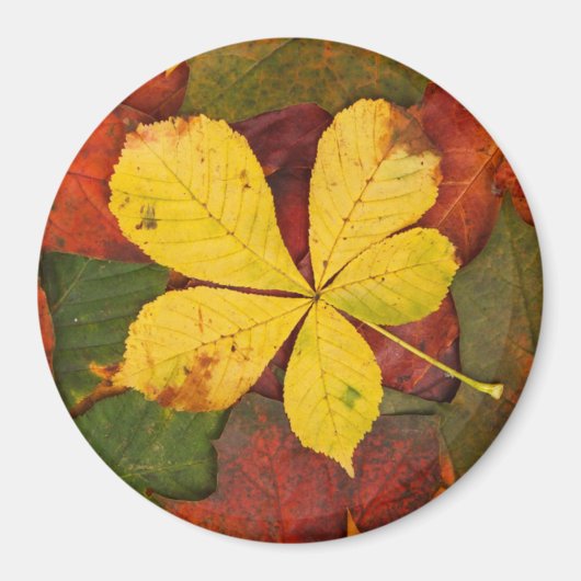 Autumn Leaf Magnet (Voorkant)