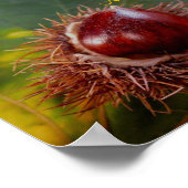Autumn Leaf met Nut & Emily Dickinson Poem Poster (Hoek)