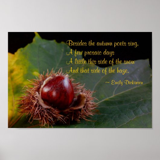 Autumn Leaf met Nut & Emily Dickinson Poem Poster (Voorkant)