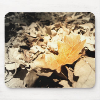 Autumn leaf muismat
