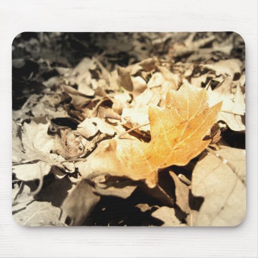 Autumn leaf muismat (Voorkant)