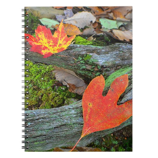 Autumn Leaf Notitieboek (Voorkant)