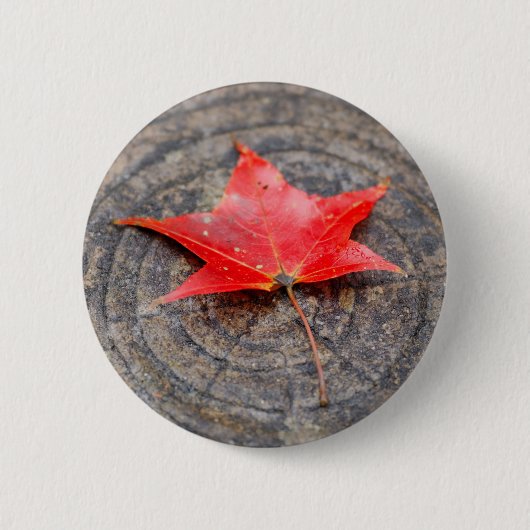 Autumn Leaf on Log Round Button (Voorkant)