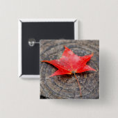 Autumn Leaf on Log Square Button (Voorkant /achterkant)