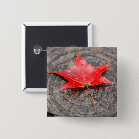Autumn Leaf on Log Square Button (Voorkant /achterkant)