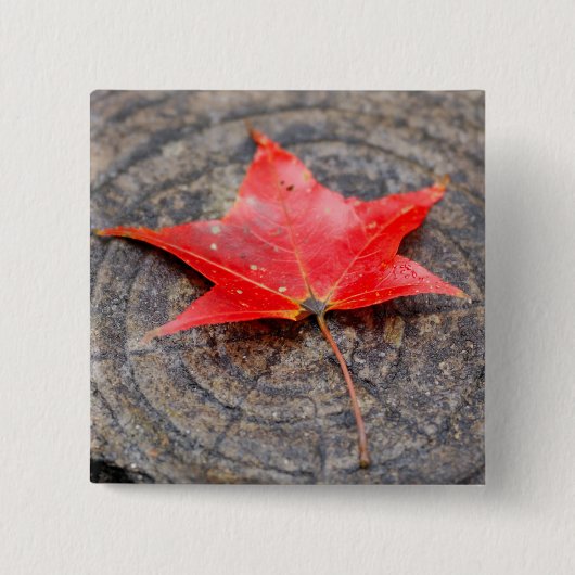Autumn Leaf on Log Square Button (Voorkant)