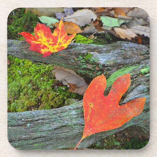 Autumn Leaf Onderzetter (Voorkant)