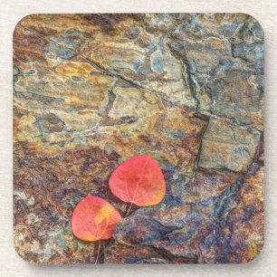 Autumn leaf op rock, California Drankjes Onderzetter