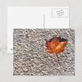 AUTUMN LEAF PHOTO BRIEFKAART (Voorkant / Achterkant)