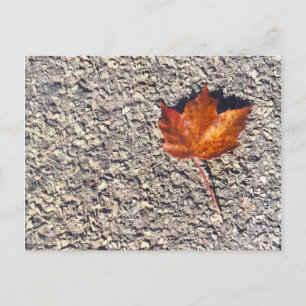 AUTUMN LEAF PHOTO BRIEFKAART