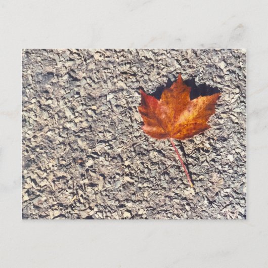 AUTUMN LEAF PHOTO BRIEFKAART (Voorkant)