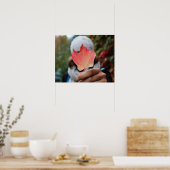 Autumn Leaf poster (Keuken)