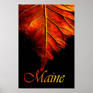 Autumn Leaf Poster   Herfst Leaf Poster