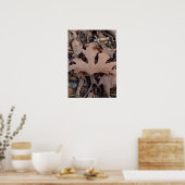 Autumn Leaf Poster Print (Keuken)