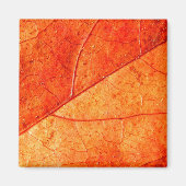 Autumn Leaf Square Magnet (Voorkant)