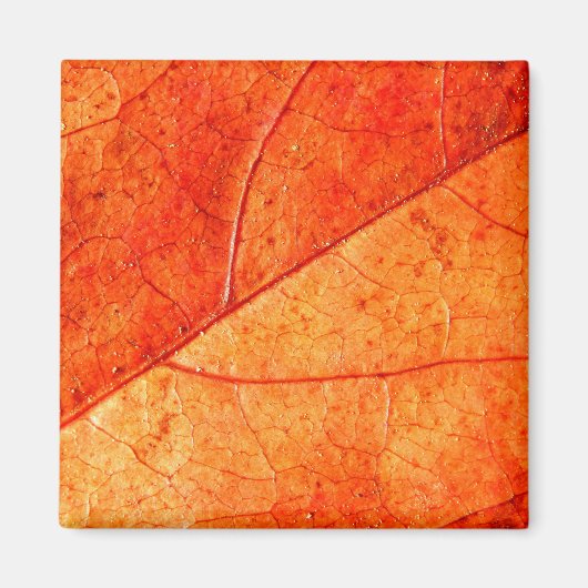 Autumn Leaf Square Magnet (Voorkant)