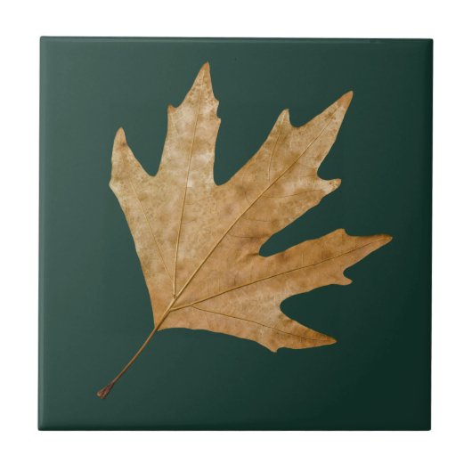 Autumn leaf tegeltje (Voorkant)
