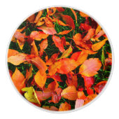 Autumn Leaf Texture Deurknop Keramische Knop (Voorkant)
