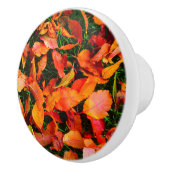 Autumn Leaf Texture Deurknop Keramische Knop (Rechts)